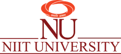 NIIT University